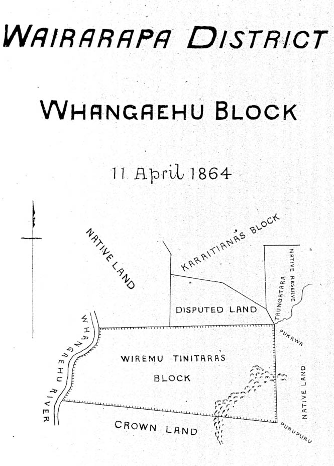 map-Tur02PlanP133a[1] Whangaehu Block 